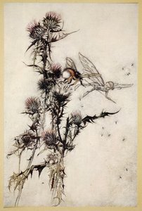 Mátame un abejorro de cadera roja en la cima de un cardo, ilustración de 